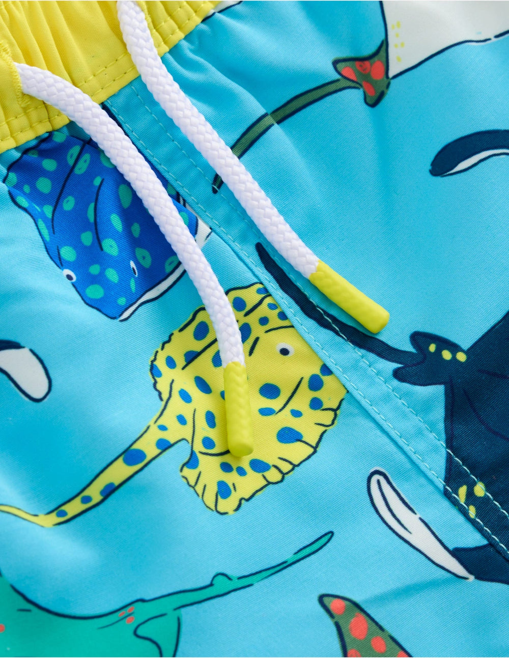 Swim Shorts - Caribbean Blue Rays