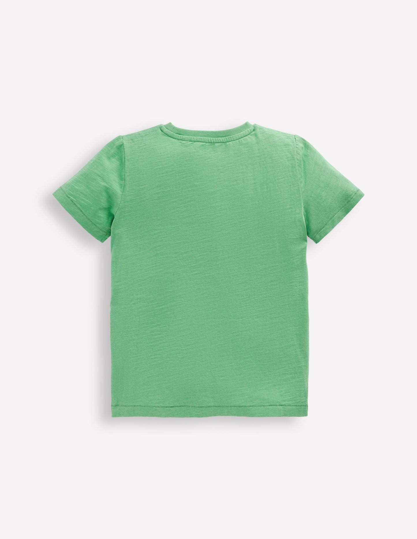 Everyday Short Sleeve T-shirt - Aloe Green