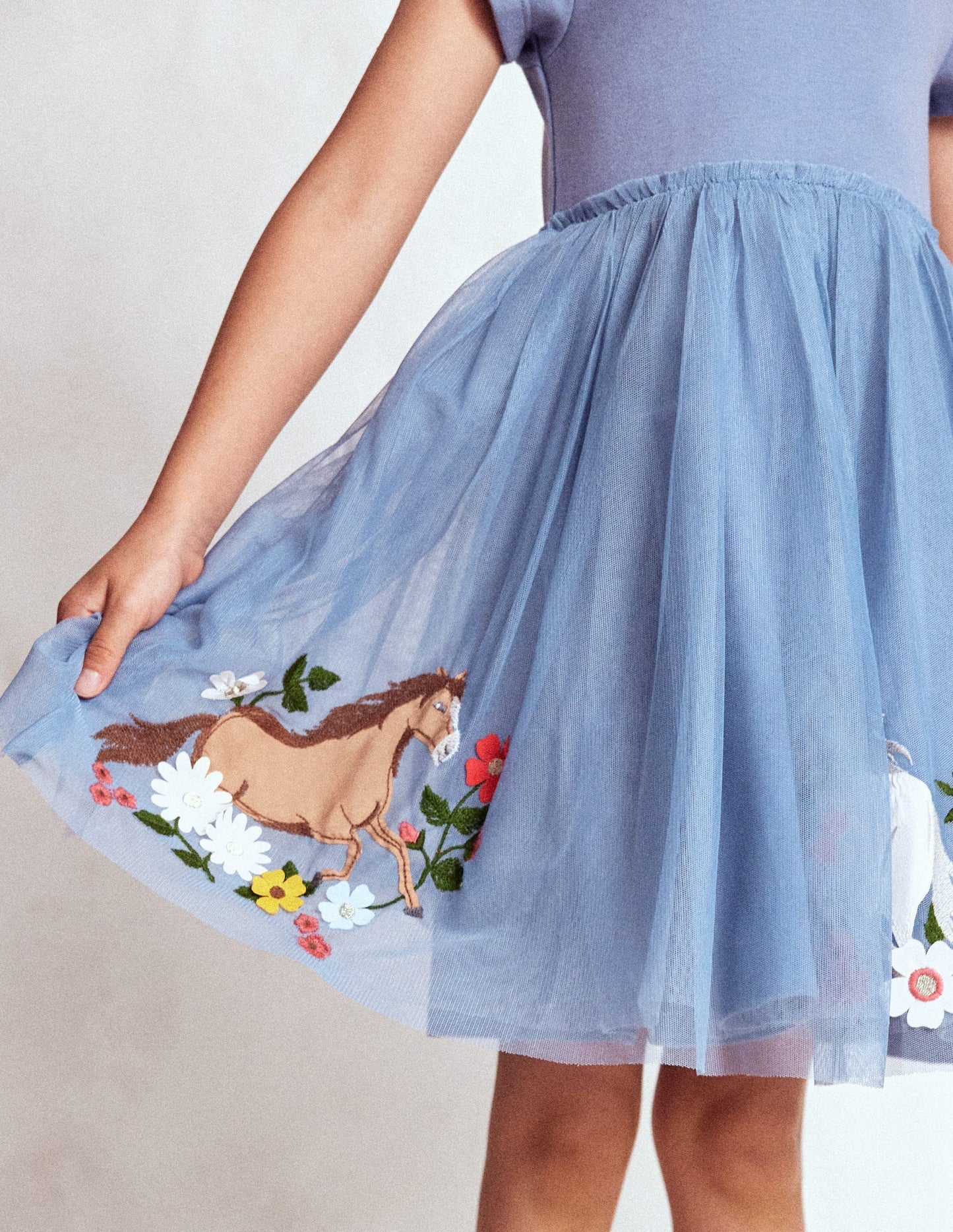 Ami Applique Tulle Dress - Pale Blue Chicks