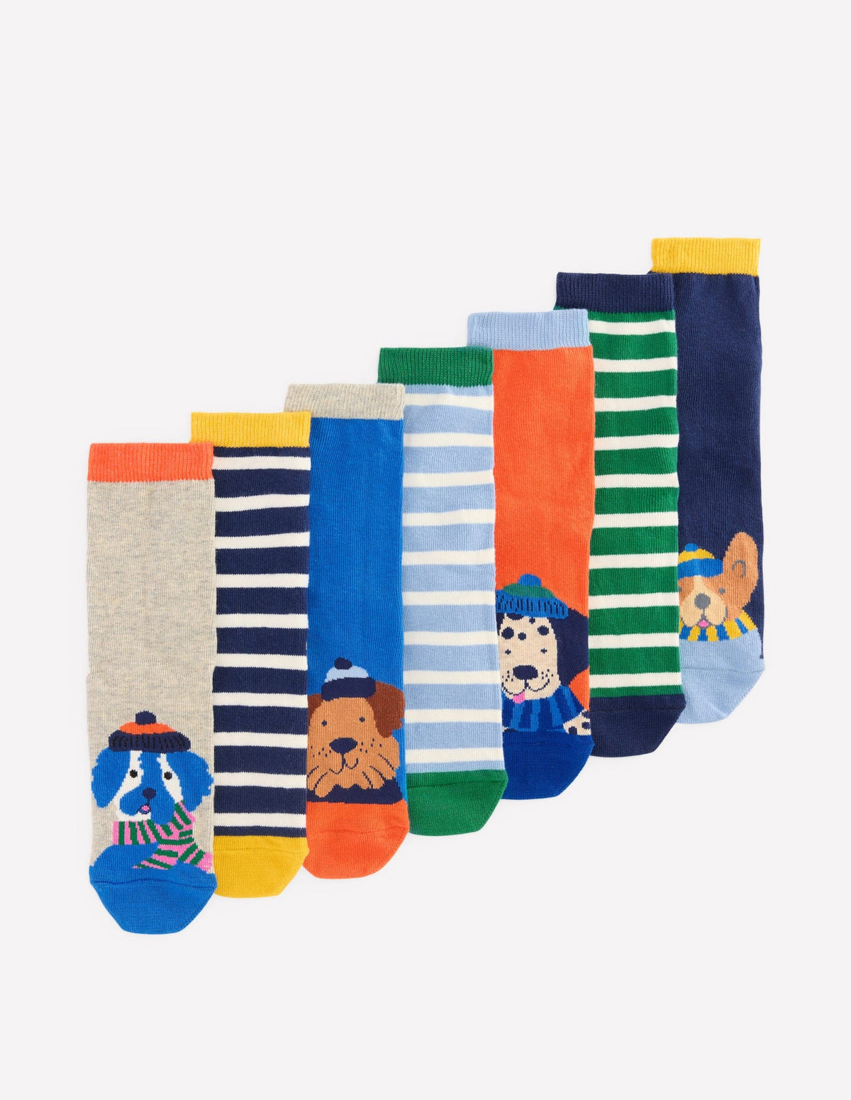 Socks 7 Pack - Dog Stripe
